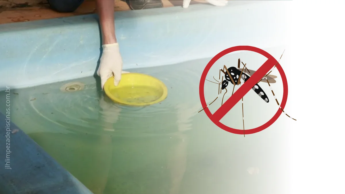 dengue na piscina no rio de janeiro, cuidados