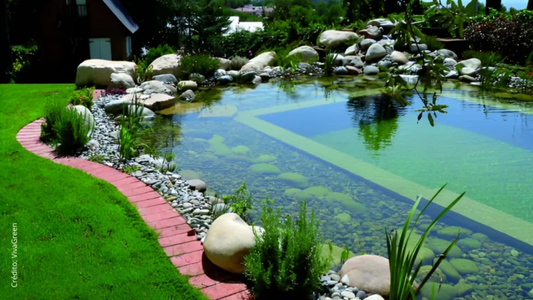 Piscina ecológica, piscina natural, piscina biológica