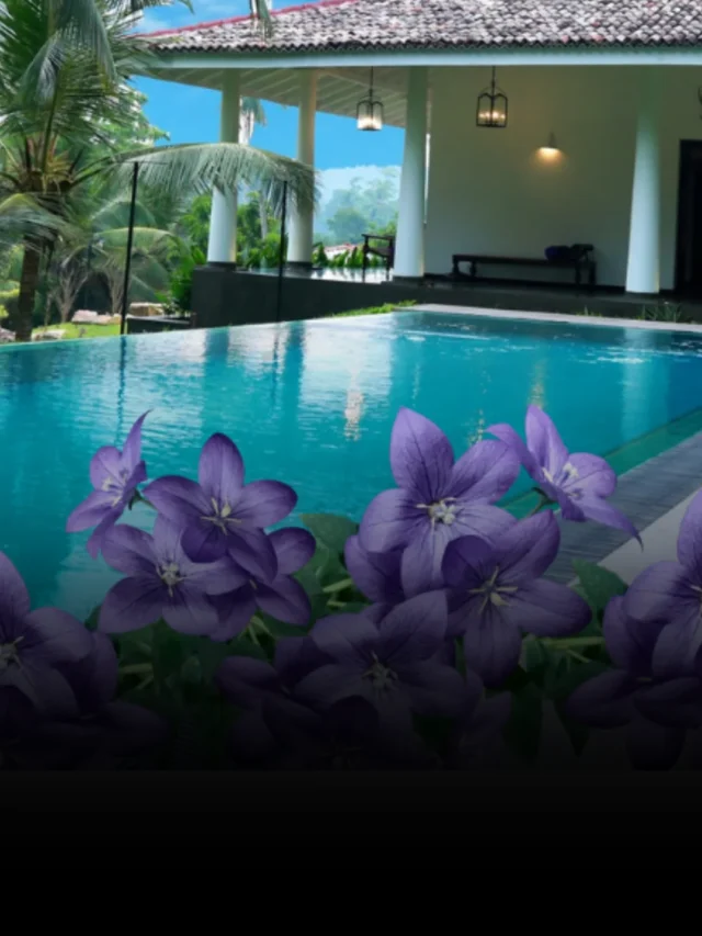 limpar piscina na primavera